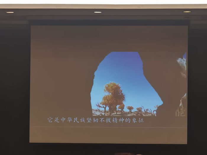 綿陽(yáng)中旅行假日旅行社舉行胡楊林、南疆專列推薦會(huì)