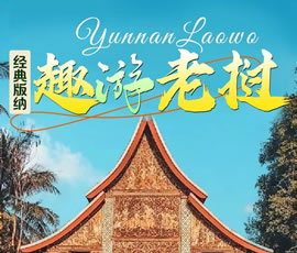 【趣游老撾 · 經(jīng)典版納】—昆明、普洱、西雙版納、磨丁、瑯勃拉邦四動(dòng)8日游